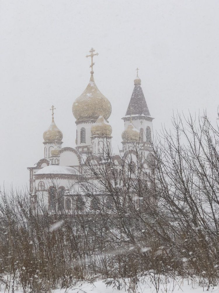 Фотография автора Светлана Гончарова