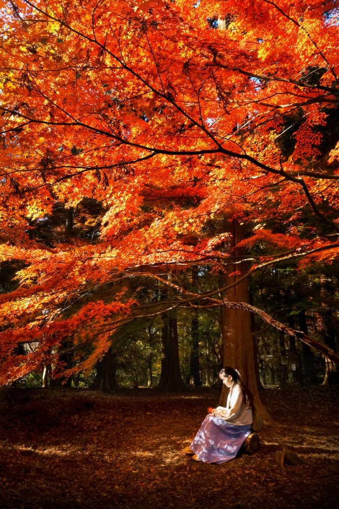 Photograph by Ly Tu Ngan