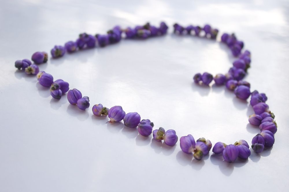 Photograph by Guillermo Topp