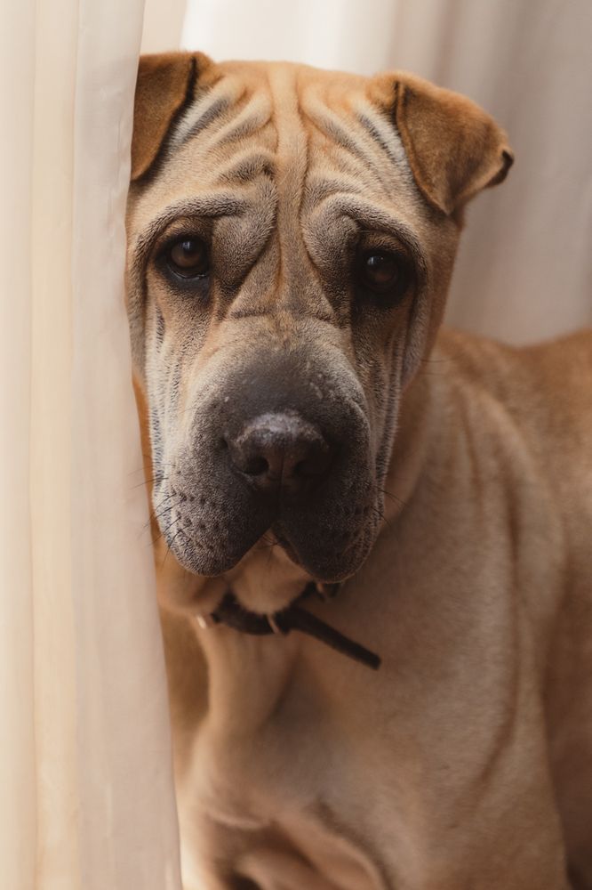 Photograph by Rodolfo Matz