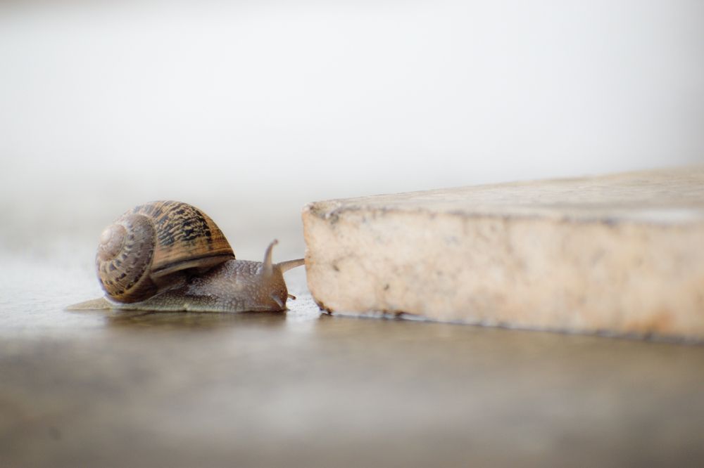 Photograph by Roberto Doger