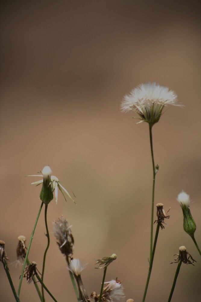 Photograph by Gr Marie