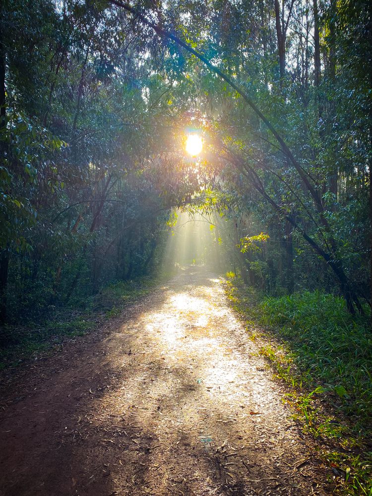 Фотография автора Emi D