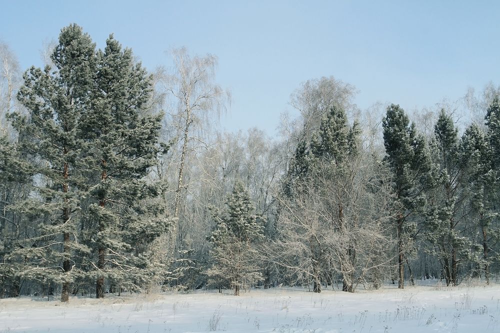 Photograph by Сергей Черных