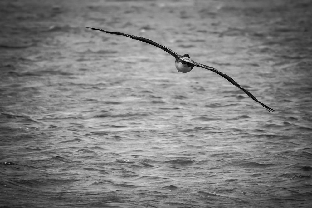 Photograph by Roberto Doger