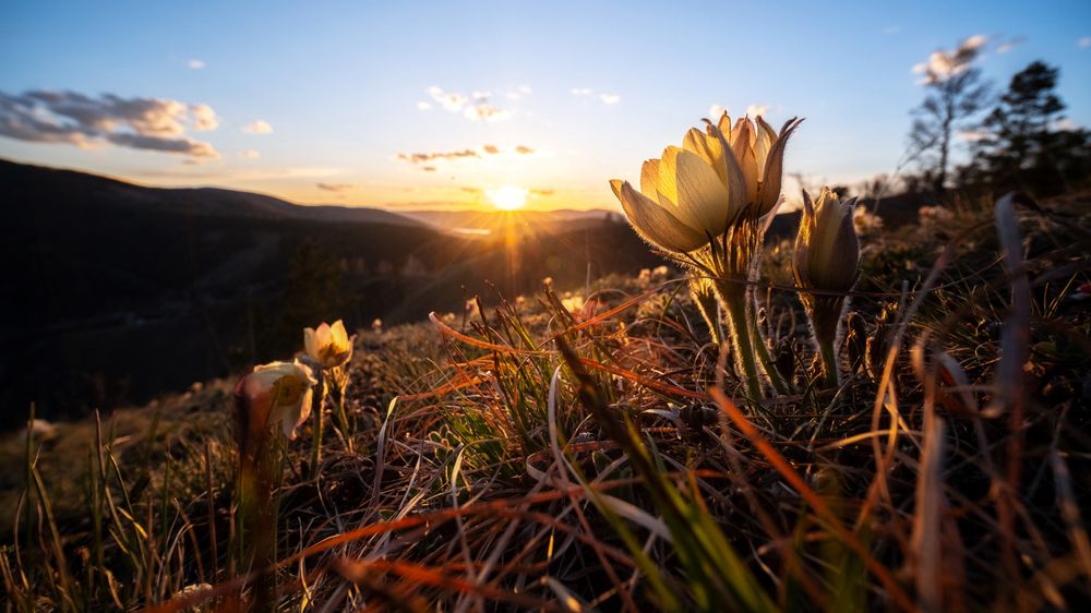 Photograph by Багурский Алексей
