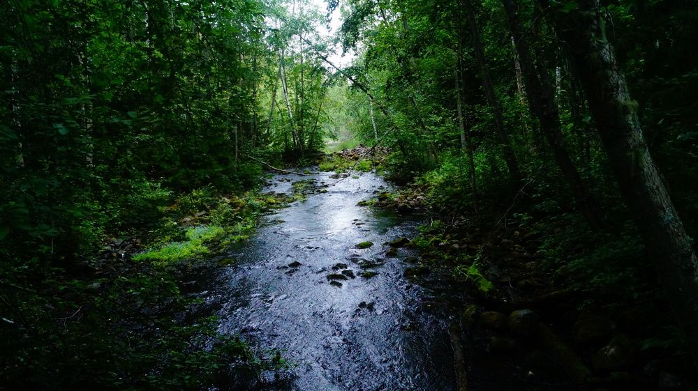 Photograph by Лиза Малыгина