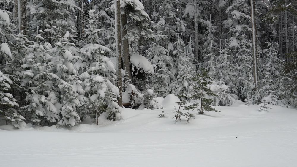 Photograph by Евгений