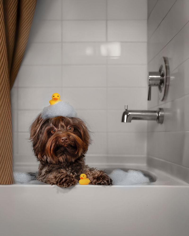 Фотография автора Eugenia Tuzova