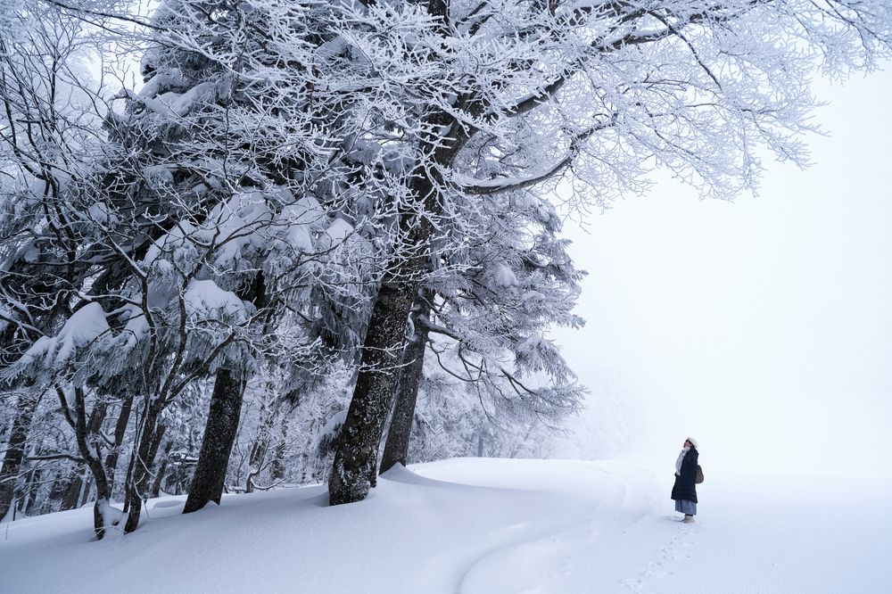 Photograph by Ly Tu Ngan