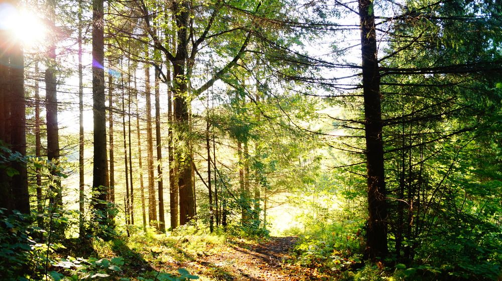 Photograph by Лиза Малыгина