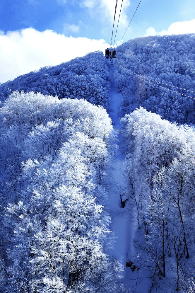 Photograph by Ly Tu Ngan