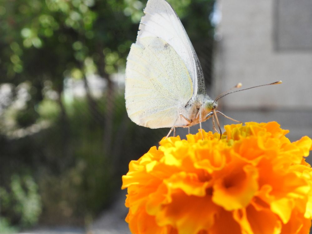 Фотография автора Shavkat Tojiyev