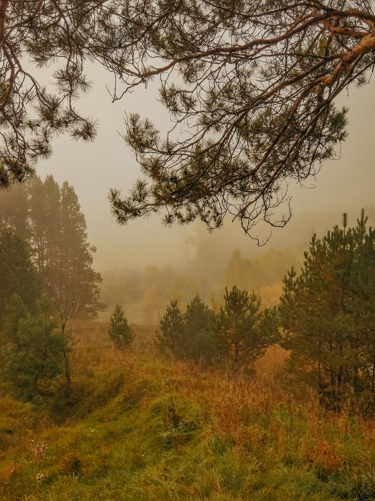 Photograph by Инна Адамович