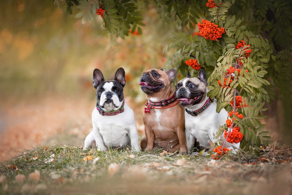 НЕсвятая троица