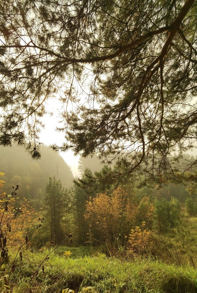 Photograph by Инна Адамович