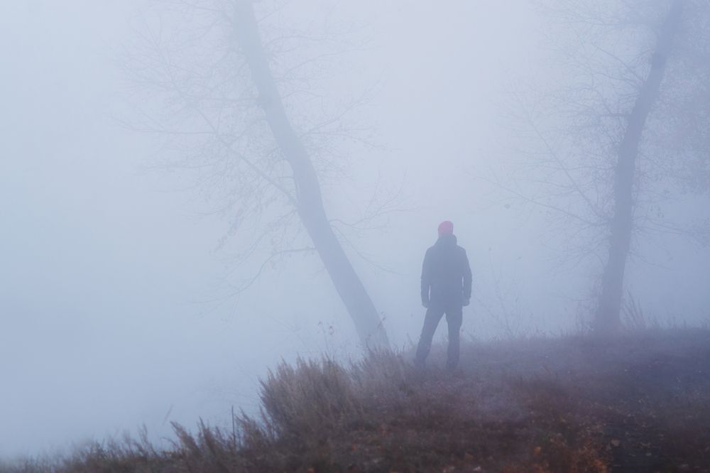 Photograph by Толстоноженко Илья