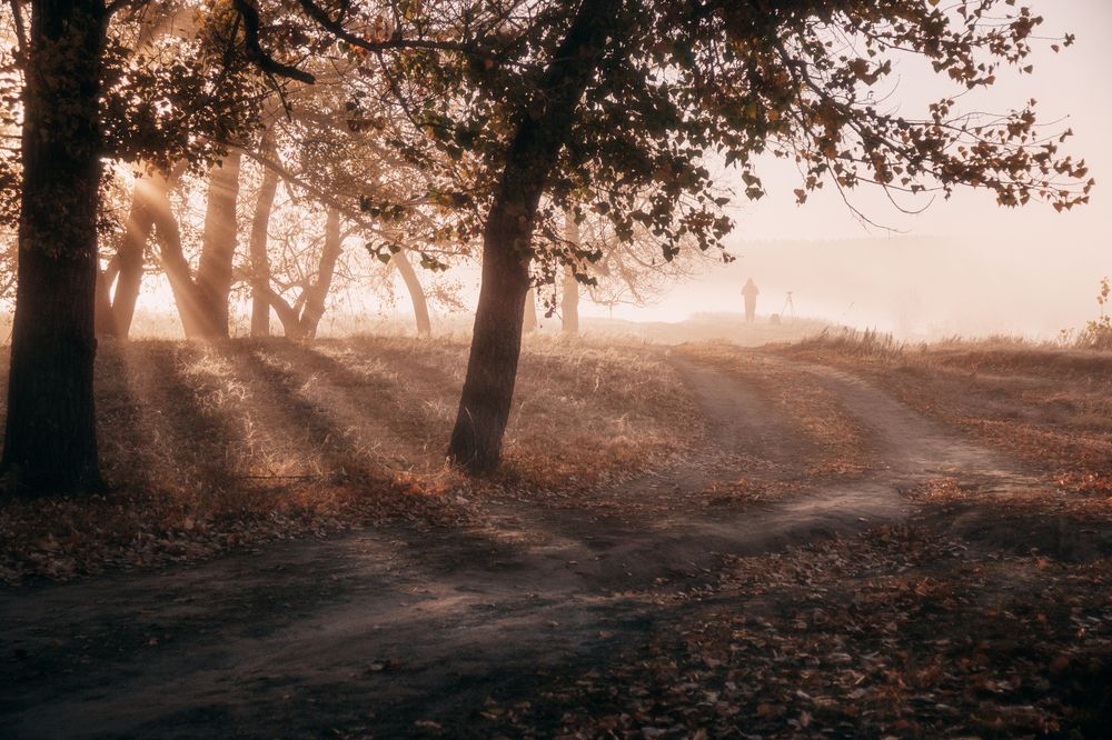 Photograph by Толстоноженко Илья