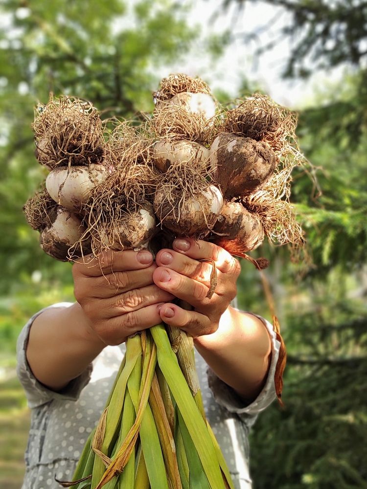 Photograph by Helen Ka