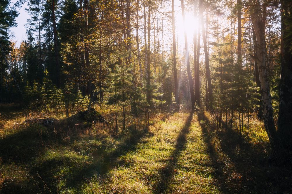 Photograph by Толстоноженко Илья