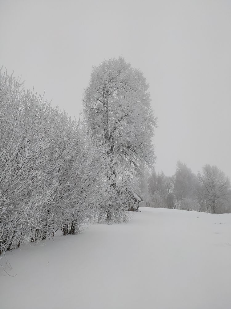 Photograph by Юрий Гордеев