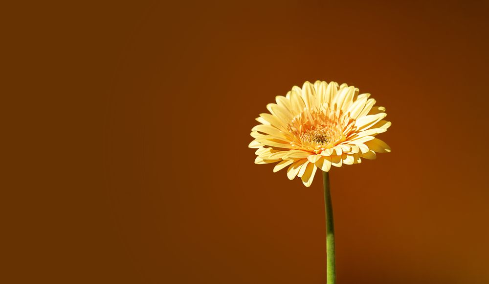 Photograph by Наталья Рябченко