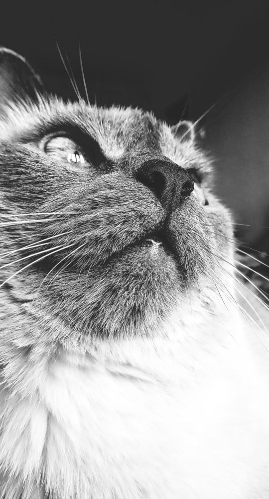 Photograph by Мария Никольская