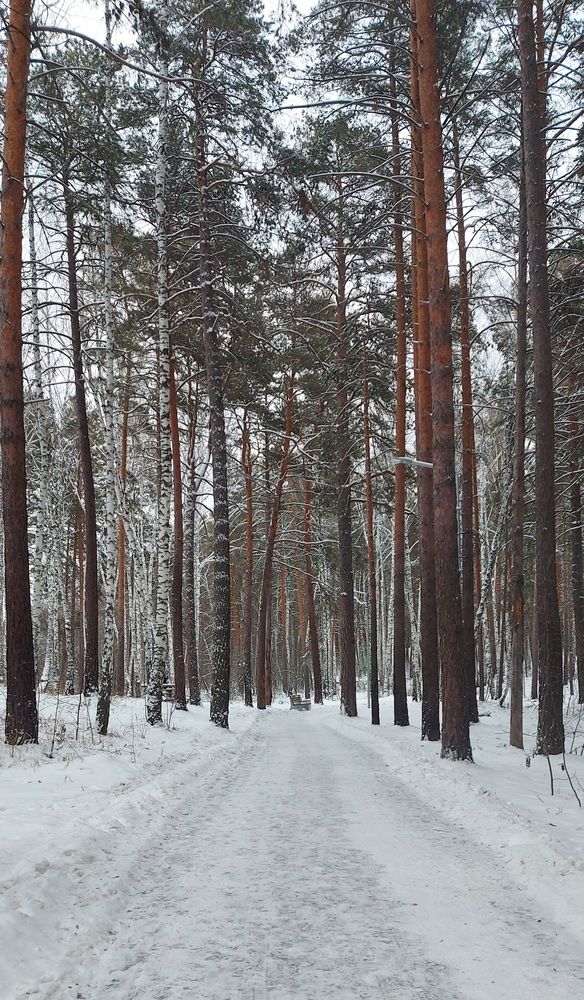 Photograph by Татьяна Гатиятуллина