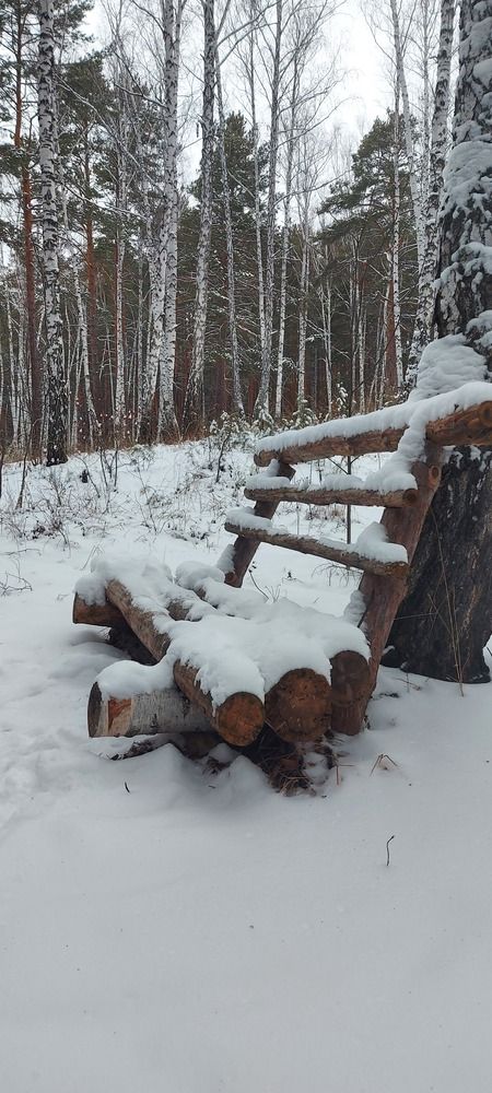 Photograph by Татьяна Гатиятуллина