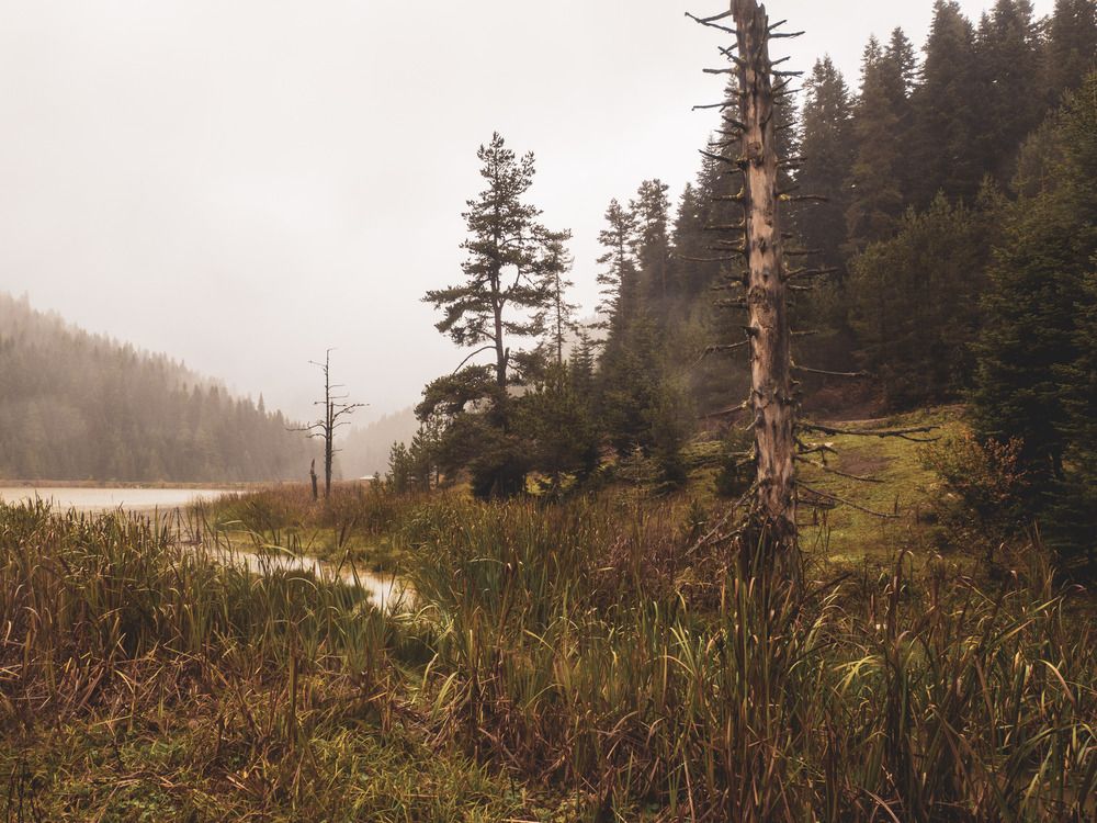 Фотография автора NECMETTİN SOBUTAY