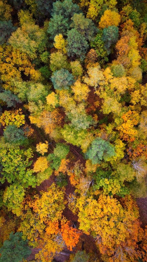 Photograph by Дмитрий Черепков