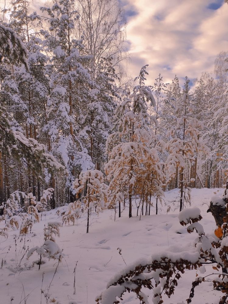 Photograph by Anastasia Malyukova