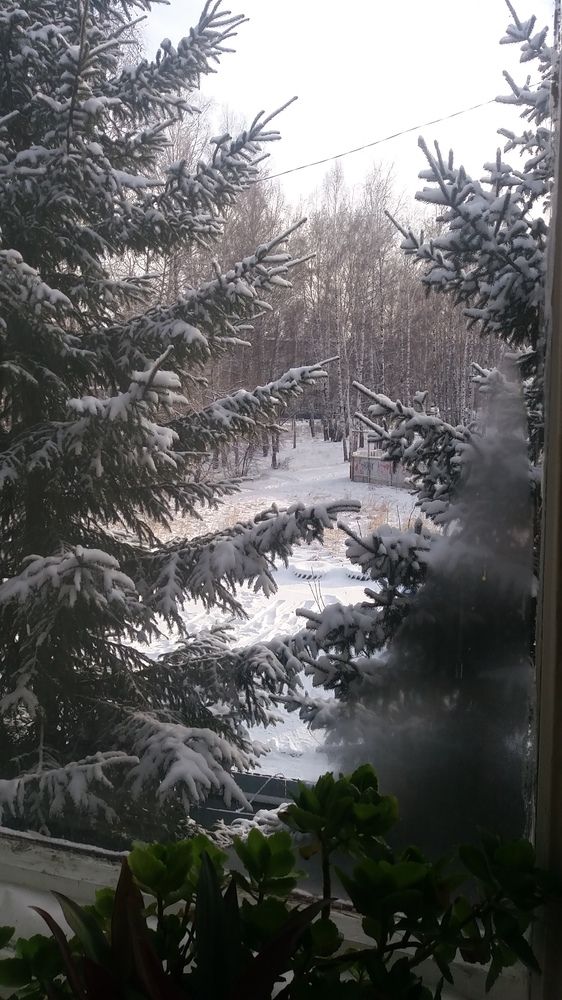Photograph by Татьяна Чечулина