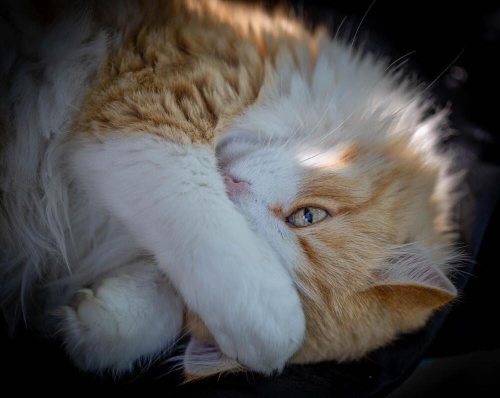 Photograph by Сергей Машонкин