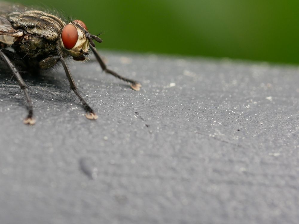 Photograph by Владимир Лобанов