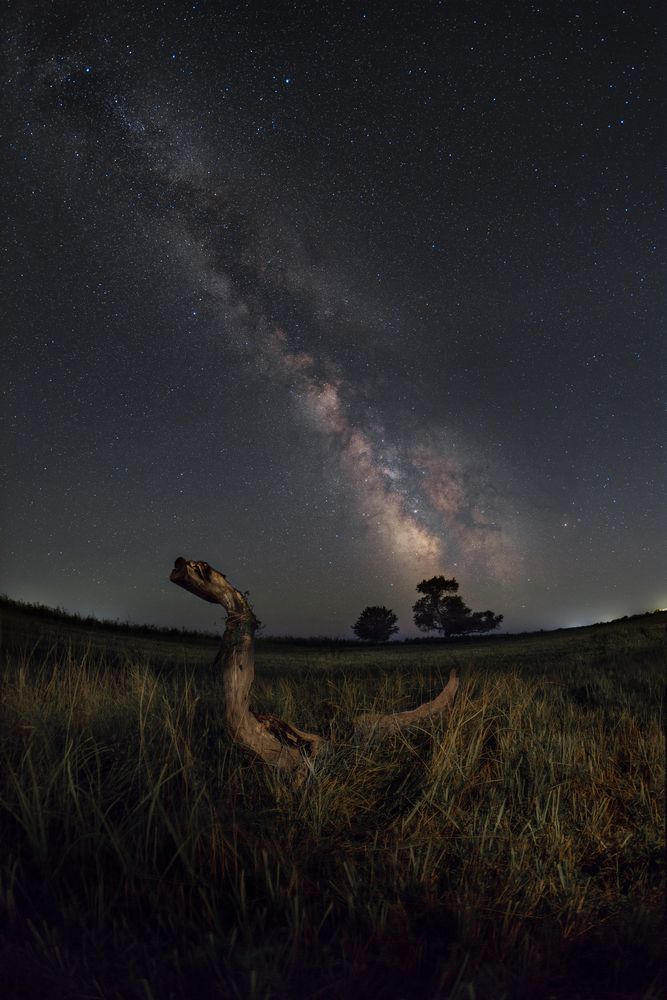 Photograph by Влад Рябинин