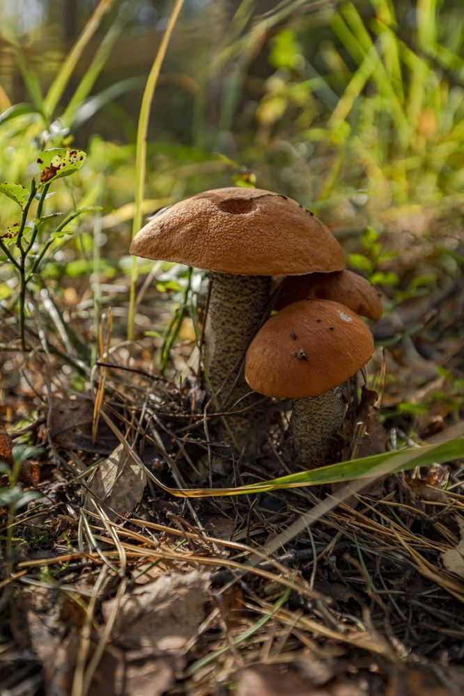 Photograph by Екатерина Лурина