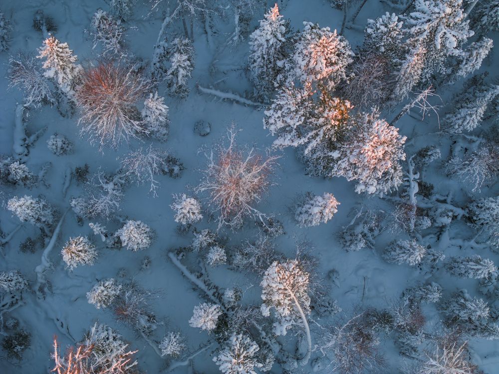 Photograph by Татьяна Борисова