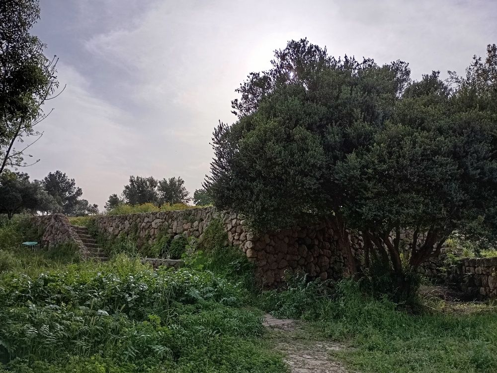 Фотография автора Виктория Усова