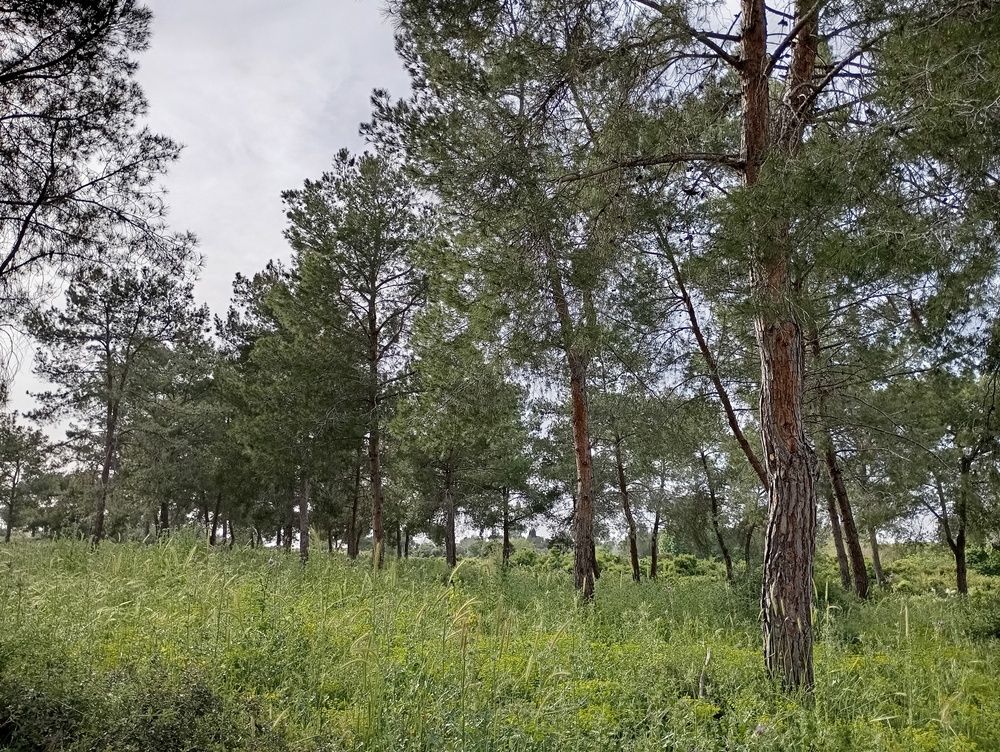 Фотография автора Виктория Усова