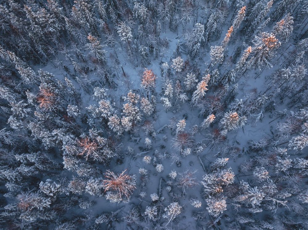 Photograph by Татьяна Борисова