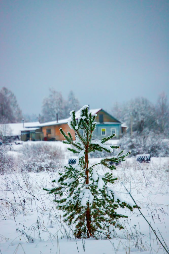 Photograph by Юрий