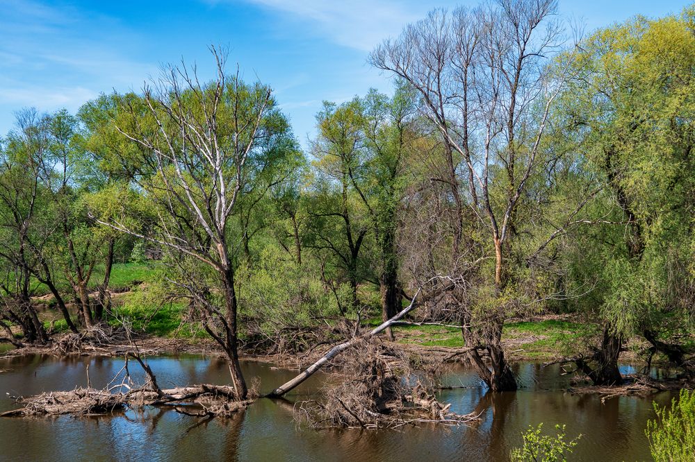 Photograph by Демьян Лопатов