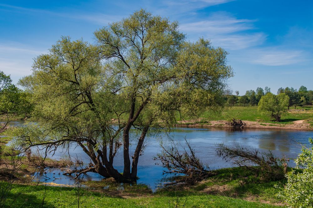 Photograph by Демьян Лопатов