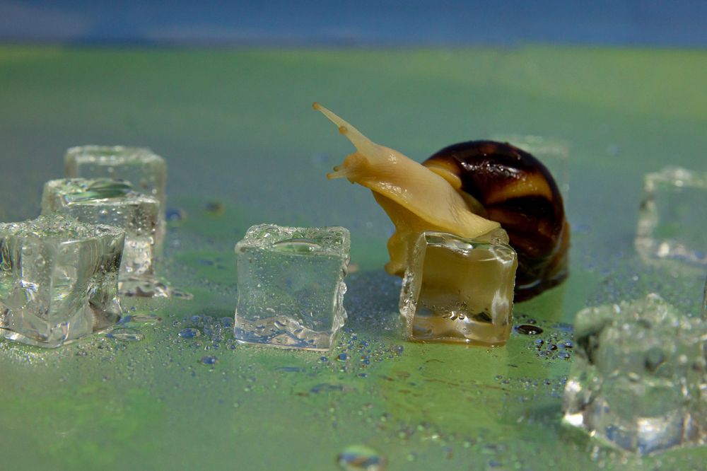 Photograph by Татьяна Арендаренко