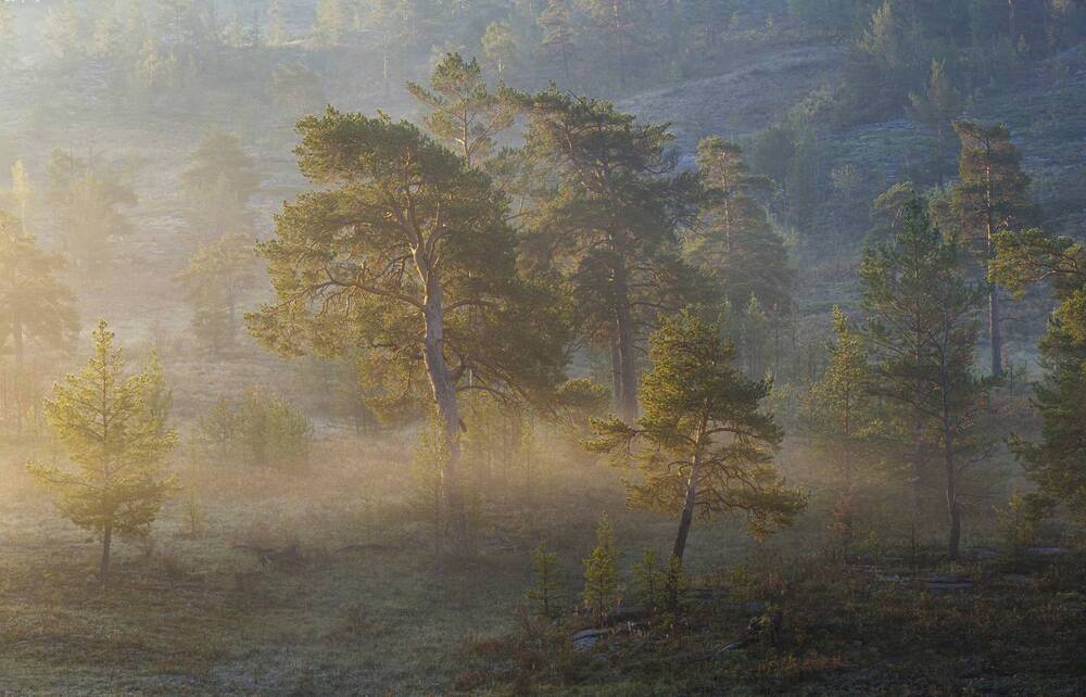 Photograph by Сергей Варыгин