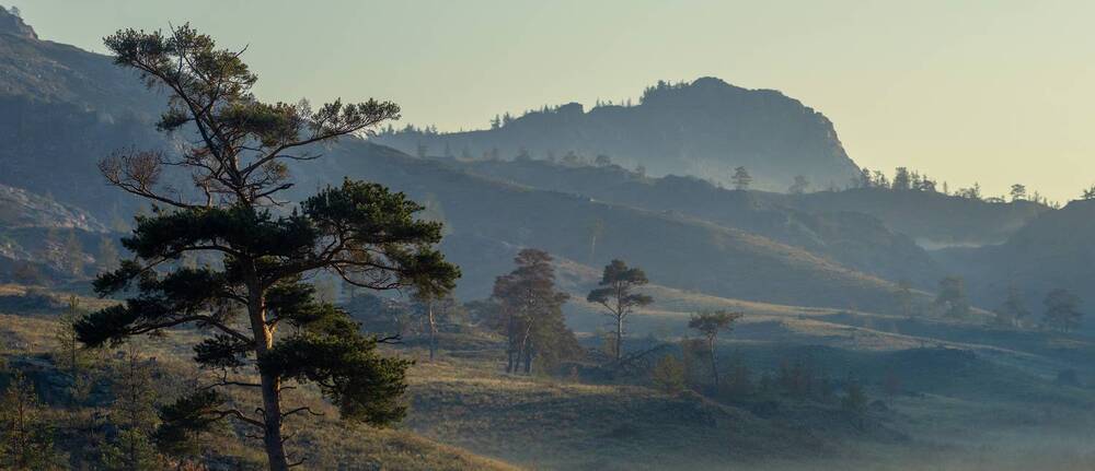 Photograph by Сергей Варыгин