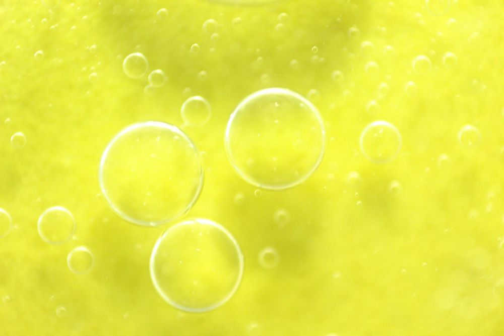 Photograph by Guillermo Topp