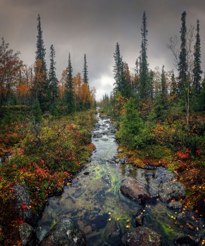 На северных широтах..