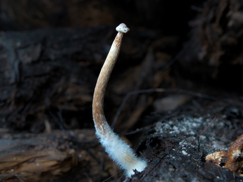 Подземный мир Сокских штолен